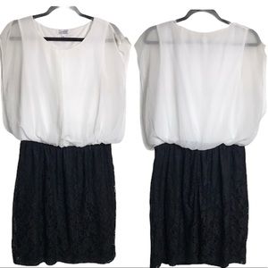 Speechless Black and White Sheer Lace Mini Dress